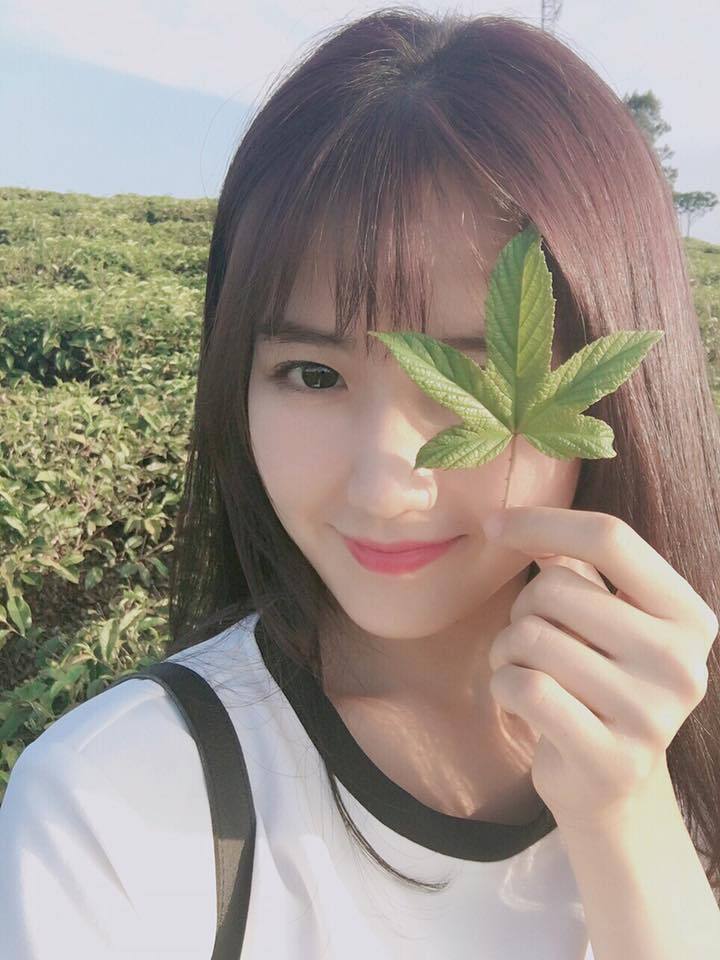 一树桃花开电视剧